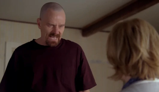 Breaking Bad - I Am The Danger Choicer Voicer Pack cover