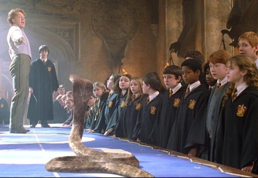 Harry Potter - Draco vs Harry Duel Choicer Voicer Pack cover