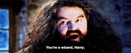 Yer a Wizard Harry Choicer Voicer Pack cover